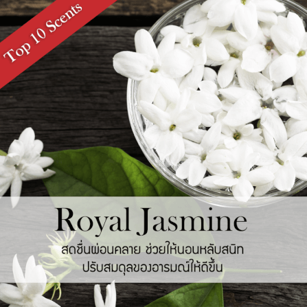 ก้านไม้หอมปรับอากาศ รีฟิล ขนาด 100 มล. กลิ่น Royal Jasmine_1