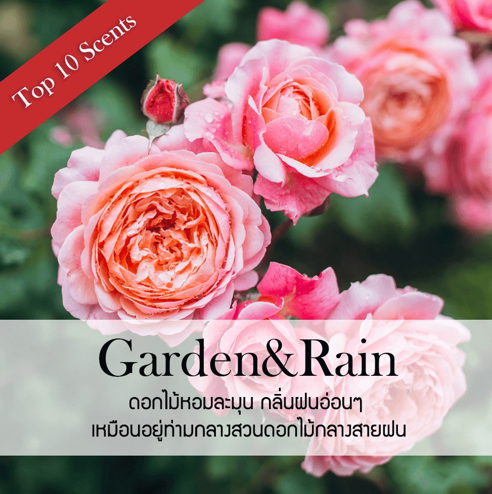 ก้านไม้หอมปรับอากาศ ขนาด 100 มล. กลิ่นสวนดอกไม้