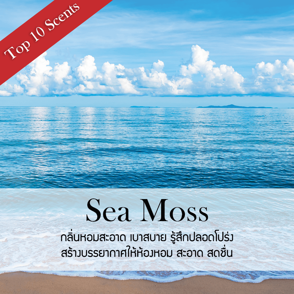 ก้านไม้หอมปรับอากาศ ขนาด 50 มล.กลิ่นมอสทะเล