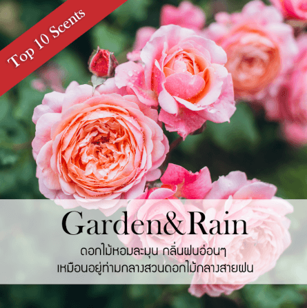 ก้านไม้หอมปรับอากาศ ขนาด 200 มล. กลิ่นสวนดอกไม้_2