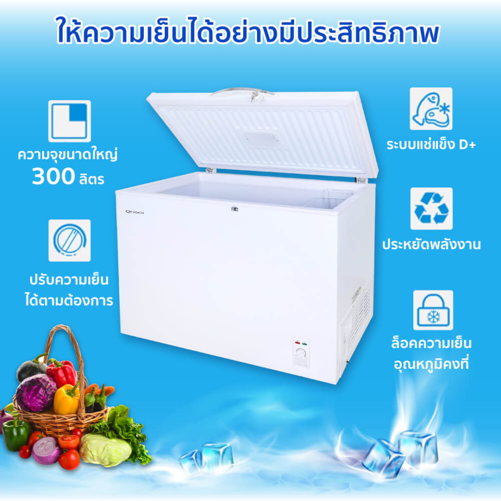 ตู้แช่ OXYGEN รุ่น BD-300 ความจุ 300 ลิตร สีขาว