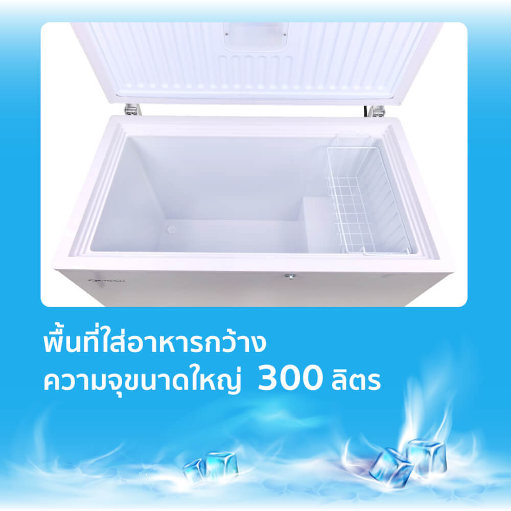 ตู้แช่ OXYGEN รุ่น BD-300 ความจุ 300 ลิตร สีขาว