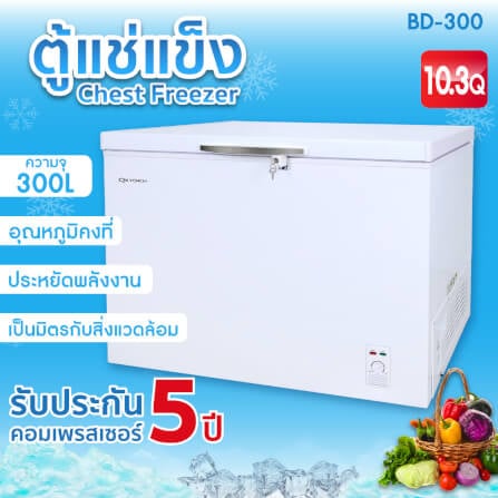 ตู้แช่ OXYGEN รุ่น BD-300 ความจุ 300 ลิตร สีขาว_1
