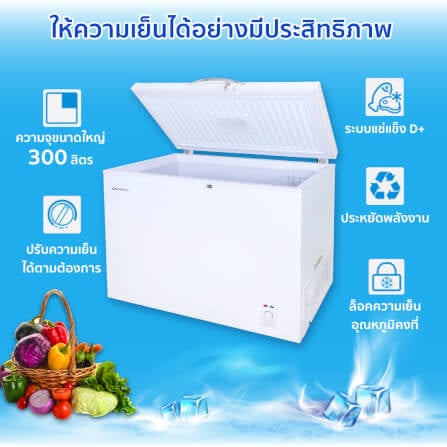 ตู้แช่ OXYGEN รุ่น BD-300 ความจุ 300 ลิตร สีขาว_2