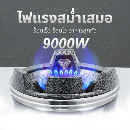 เตาแก๊สตั้งโต๊ะ KASHIWA รุ่น K-1008 สีเงิน_3