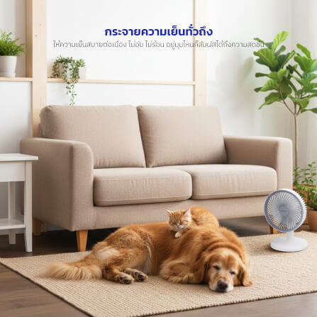 พัดลมตั้งโต๊ะ KASHIWA รุ่น TF-8 สีขาว_6