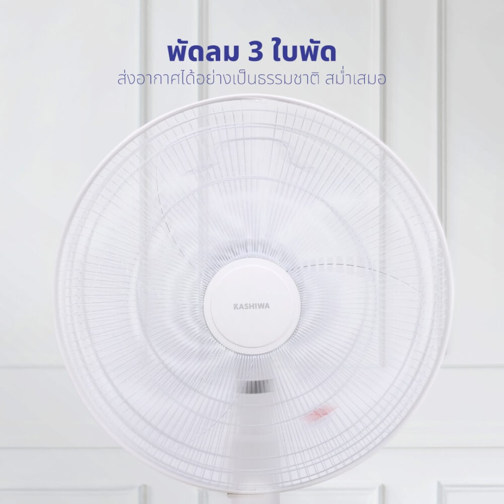 พัดลมตั้งพื้น KASHIWA รุ่น FS-2201 สีขาว