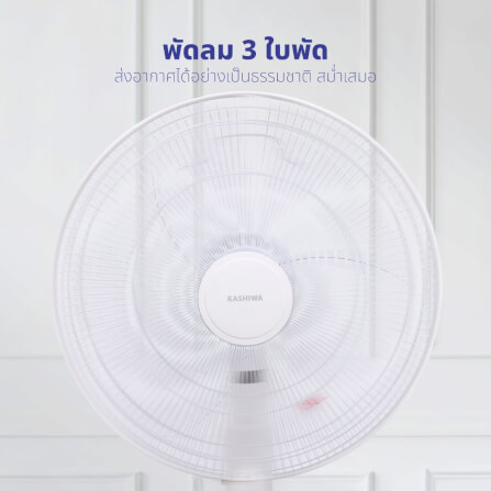พัดลมตั้งพื้น KASHIWA รุ่น FS-2201 สีขาว_4