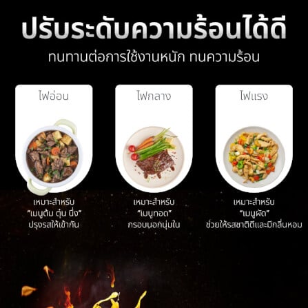 เตาแก๊สตั้งโต๊ะ KASHIWA รุ่น K-1007 สีเงิน_7