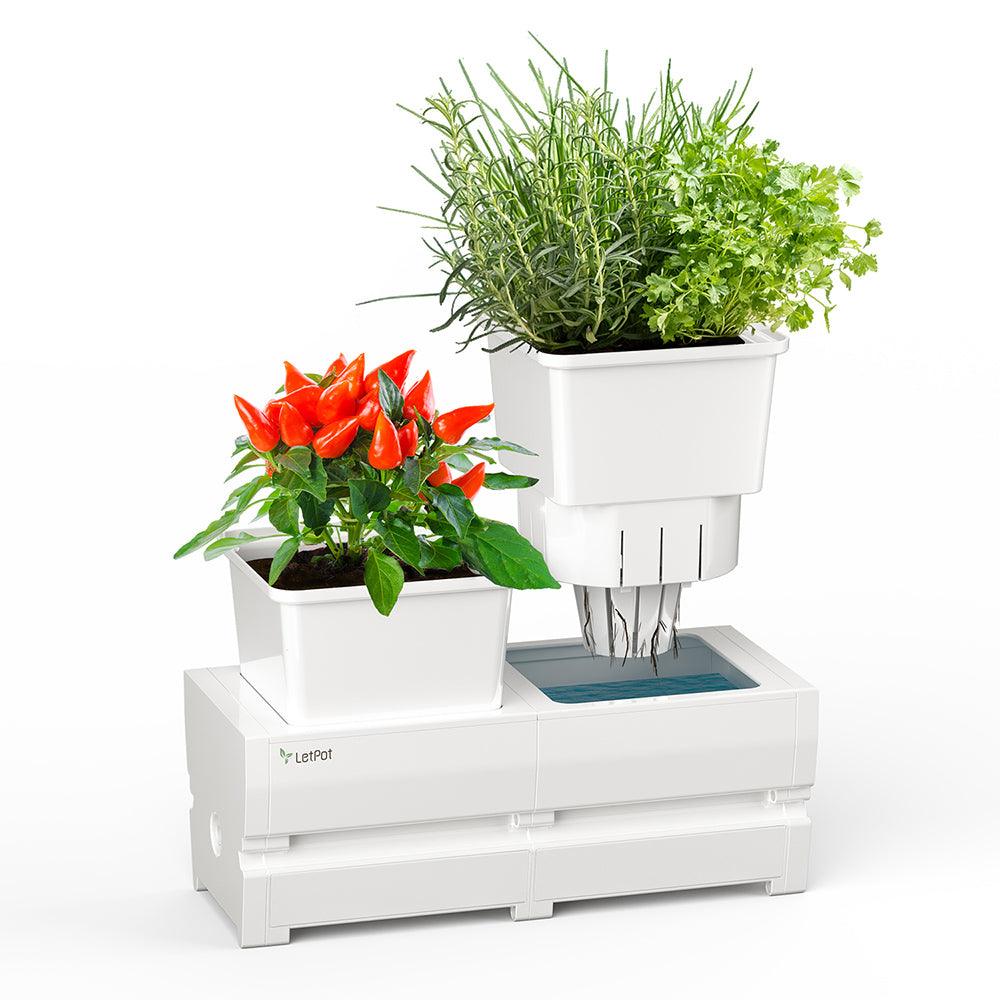 กระถางรดน้ำอัติโนมัติ LetPot Smart Planter_0