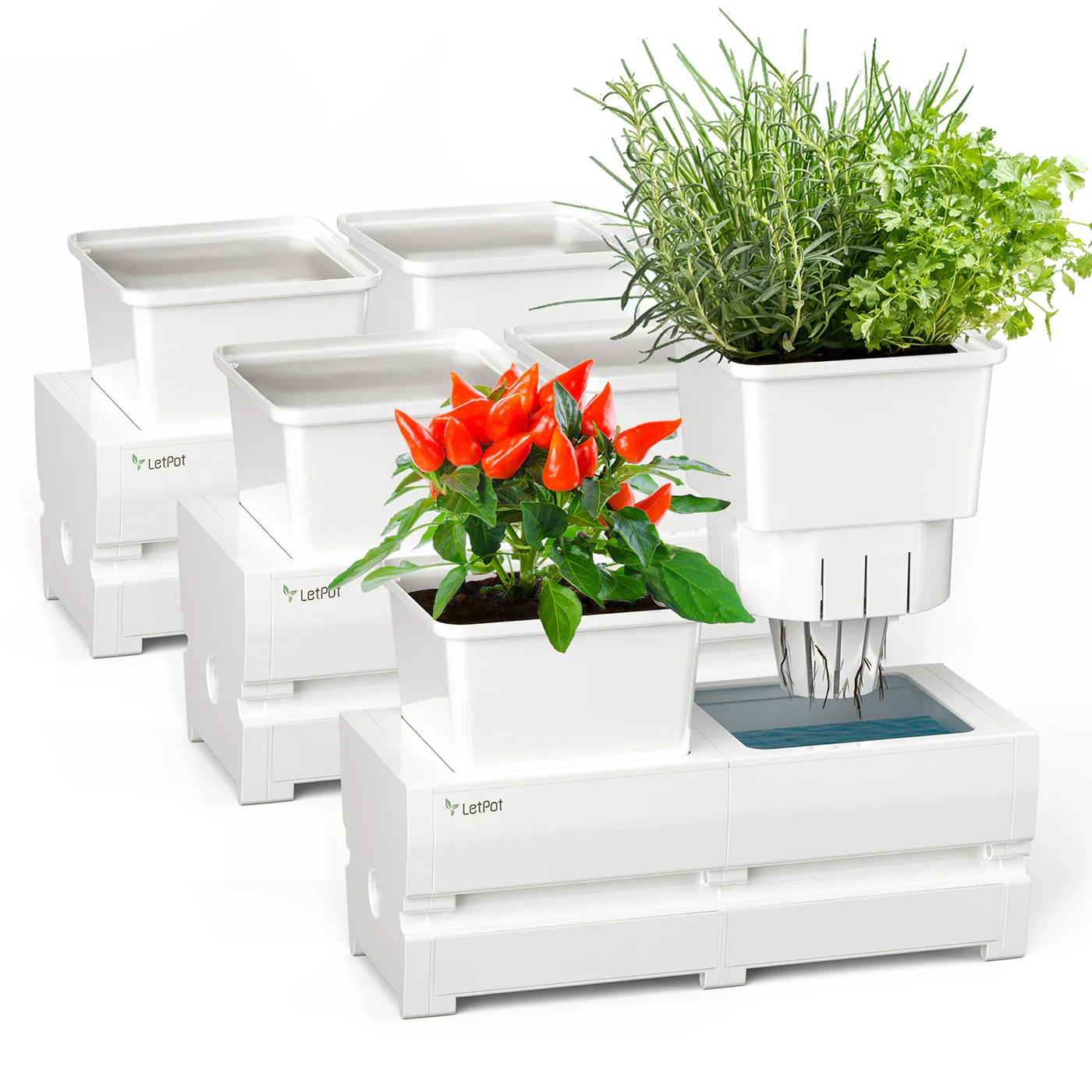 กระถางรดน้ำอัติโนมัติ LetPot Smart Planter_2