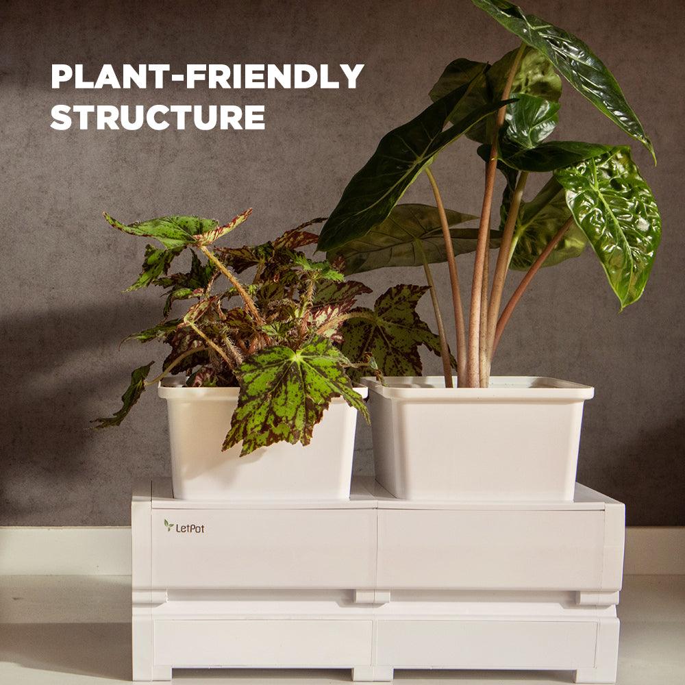 กระถางรดน้ำอัติโนมัติ LetPot Smart Planter_5