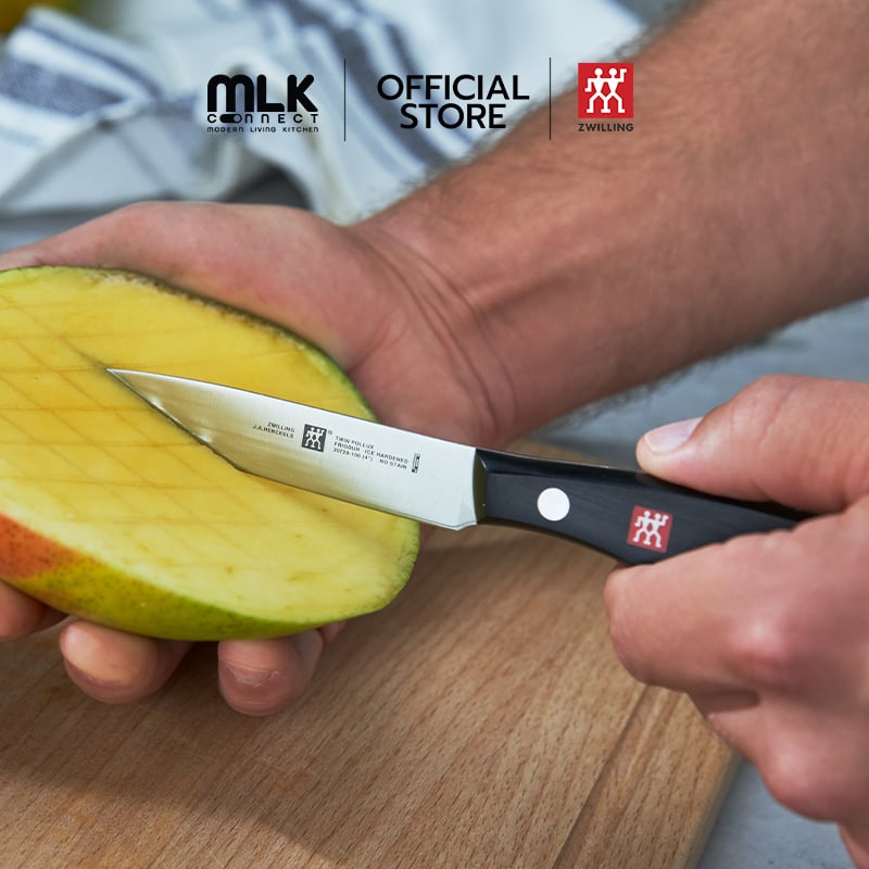 มีดปอกผักผลไม้สแตนเลสสตีล ZWILLING รุ่น TWIN POLLUX มีความคมและทนทาน 100 มม. สีเงิน ด้ามสีดำ N30720100_1