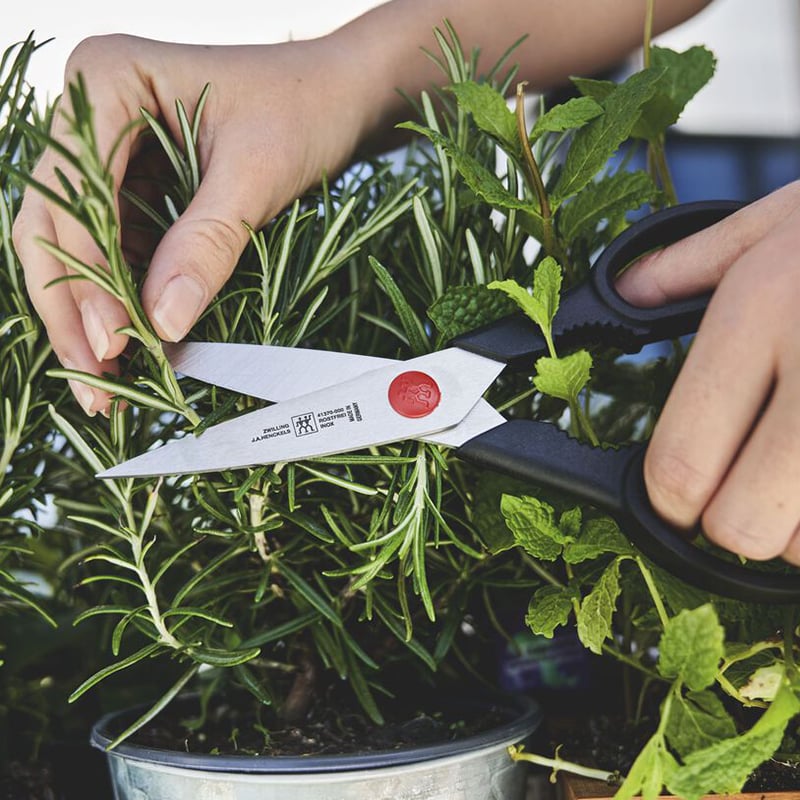 กรรไกรเอนกประสงค์สแตนเลส ZWILLING รุ่น Twin L  สีดำ N1020903_4