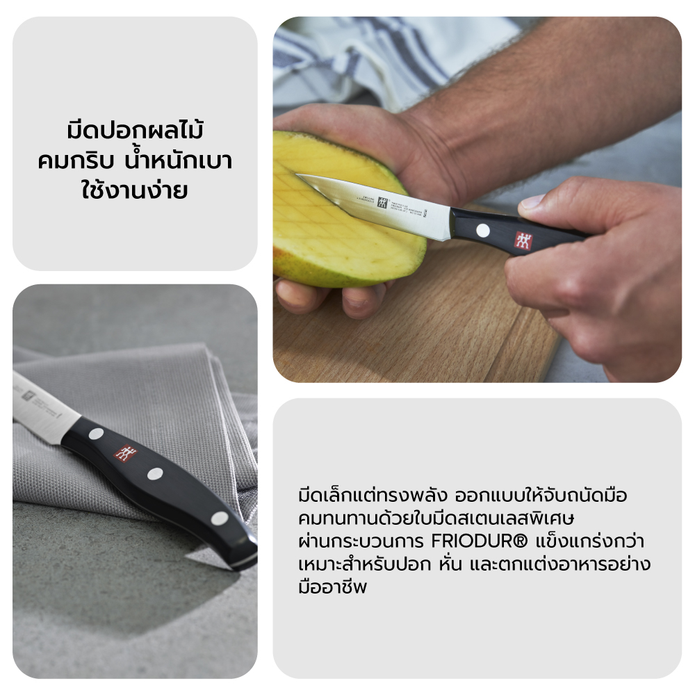 มีดปอกผักผลไม้สแตนเลสสตีล ZWILLING รุ่น TWIN POLLUX มีความคมและทนทาน 100 มม. สีเงิน ด้ามสีดำ N30720100_5