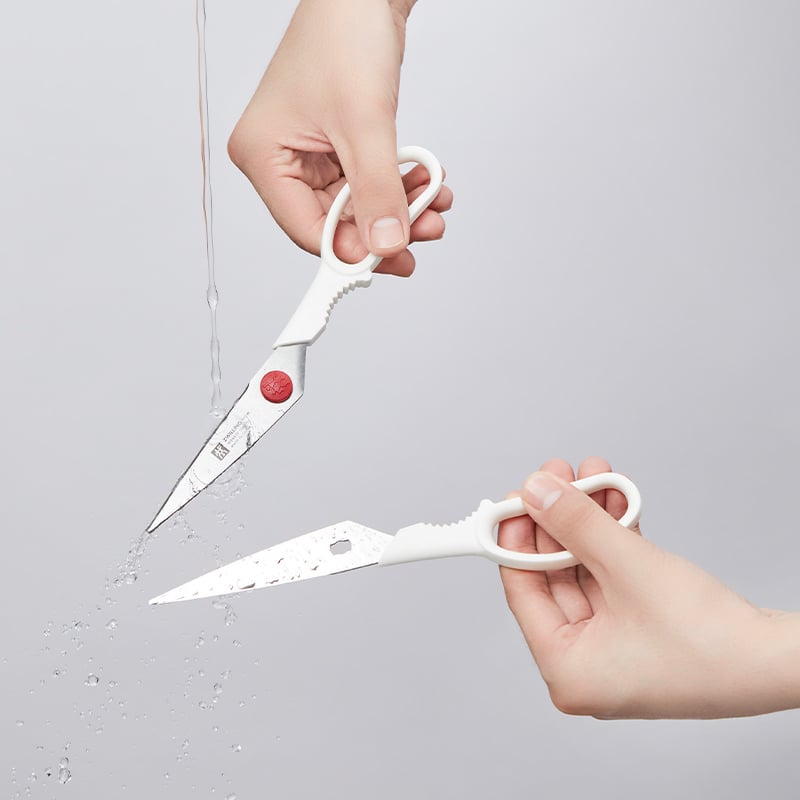 ชุดมีดพร้อมบล็อก ZWILLING รุ่น Twin Pollux  สีขาว N1025159_5