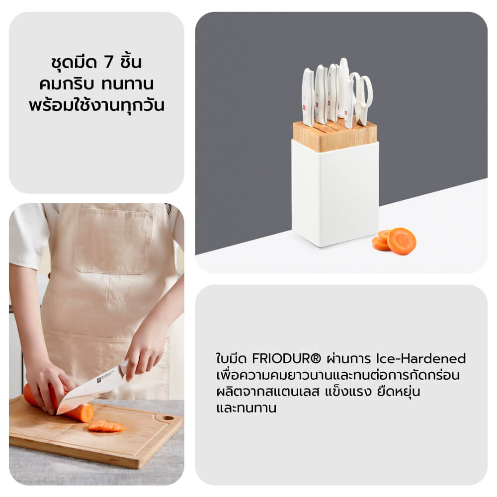 ชุดมีดพร้อมบล็อก ZWILLING รุ่น Twin Pollux  สีขาว N1025159