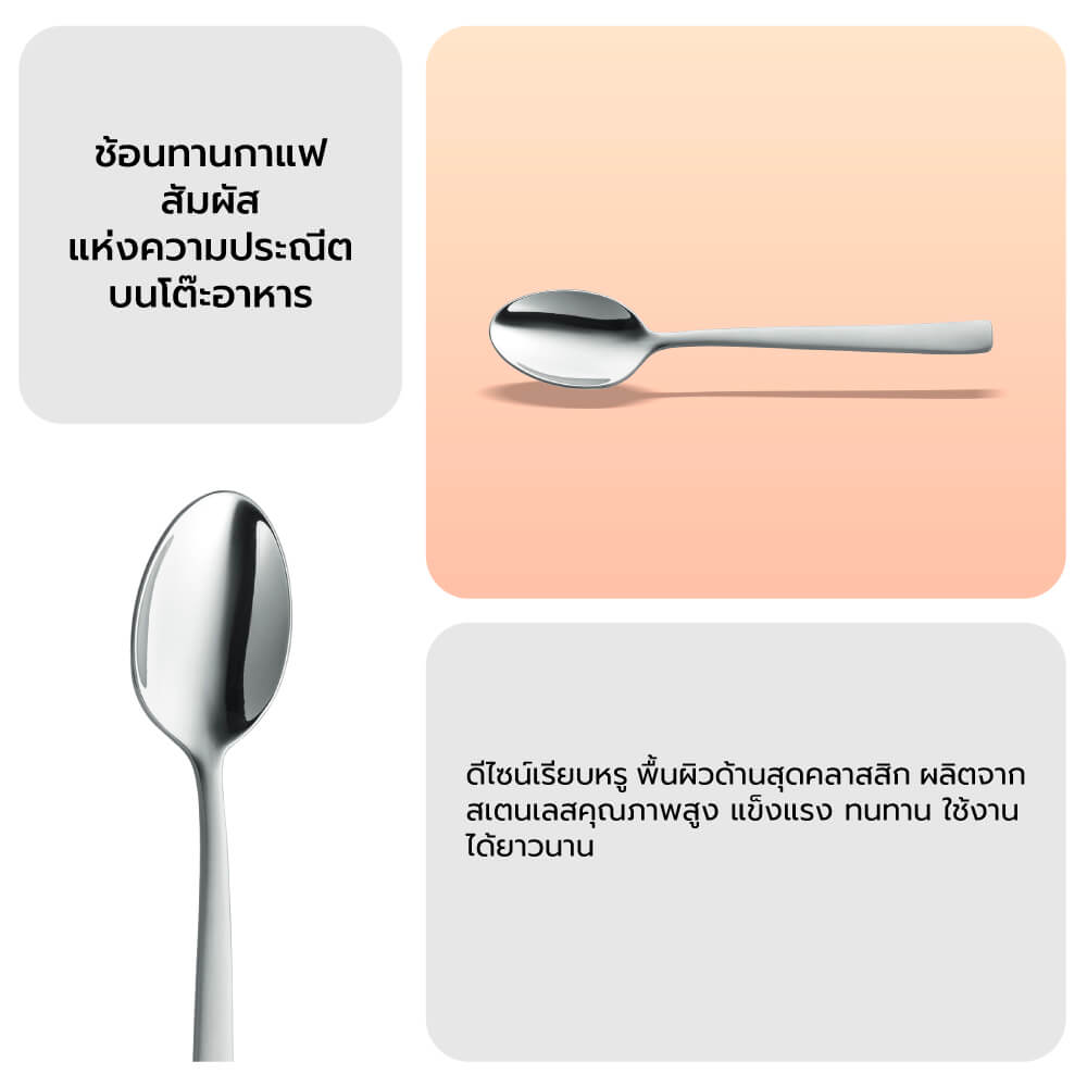 ช้อนทานกาแฟ ZWILLING รุ่น Cult (matted)  N1026807
