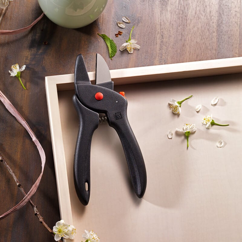 กรรไกรตัดกิ่ง ZWILLING สีเงิน N40664000