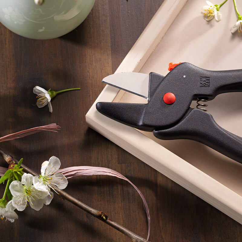 กรรไกรตัดกิ่ง ZWILLING สีเงิน N40664000