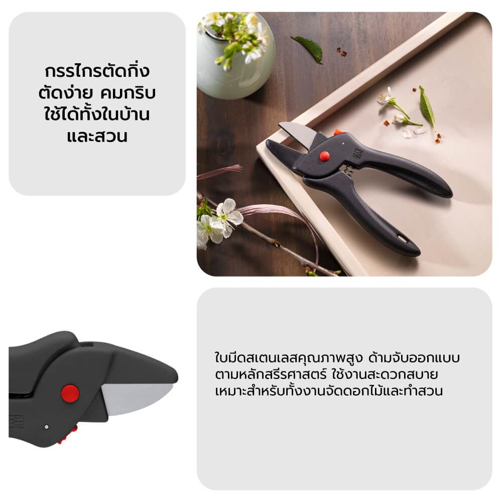 กรรไกรตัดกิ่ง ZWILLING สีเงิน N40664000
