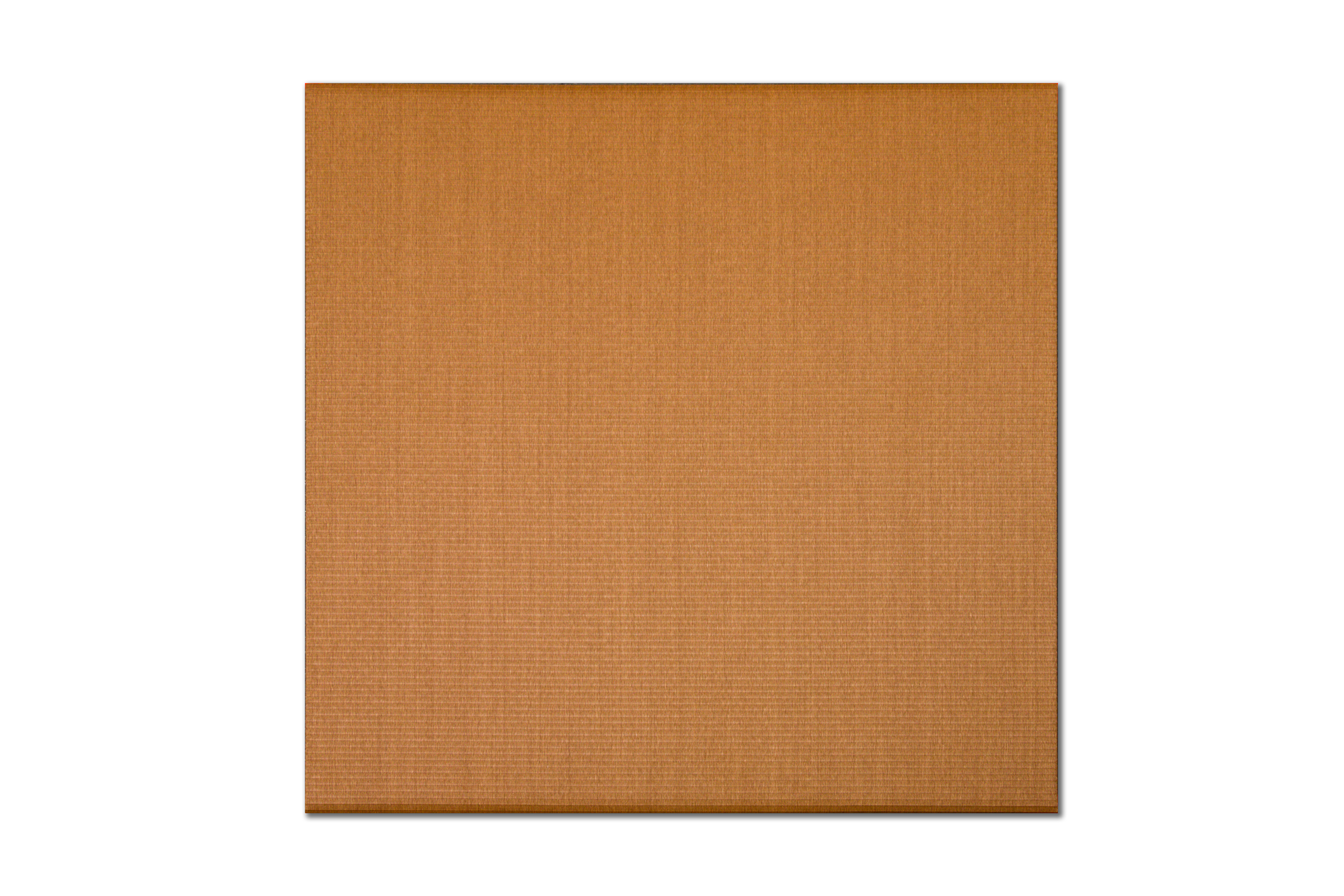 เสื่อทาทามิ MIGUSA TATAMI MESEKI DARK BROWN
