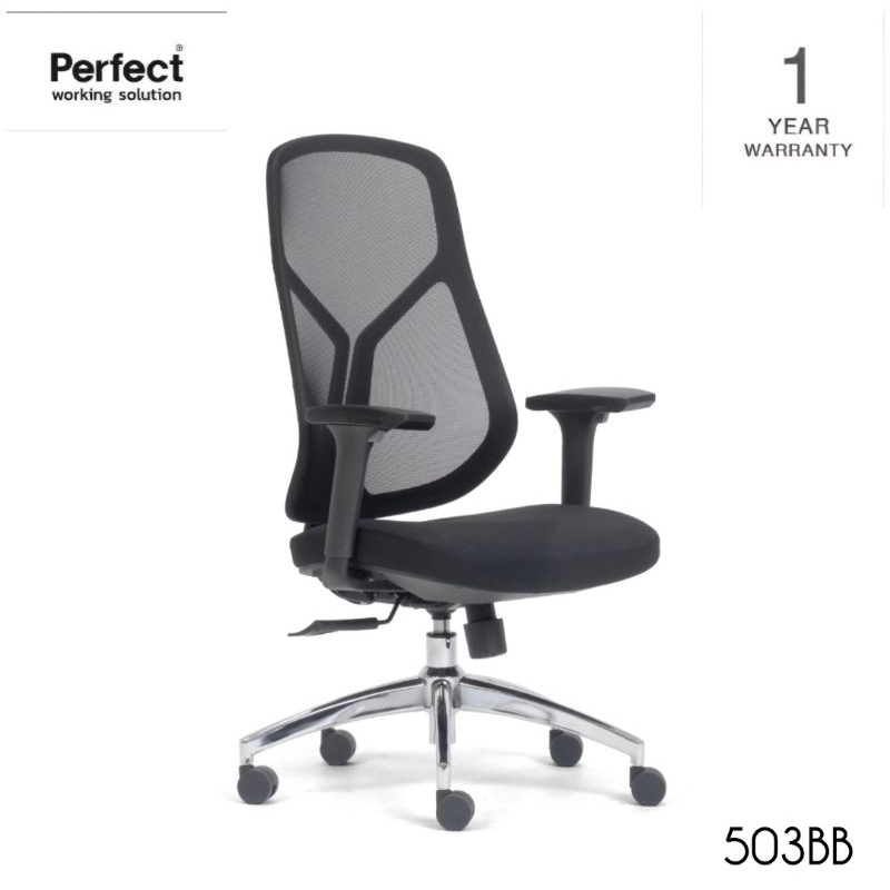 เก้าอี้ทำงานเพื่อสุขภาพ Perfect SWAN SERIES รุ่น 503BB สีดำ