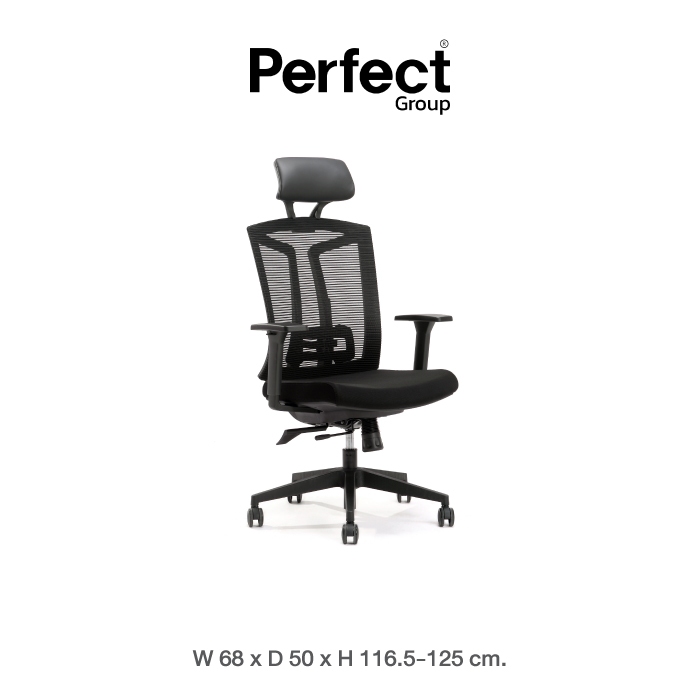เก้าอี้ทำงานเพื่อสุขภาพ Perfect รุ่น 6206A สีดำ_0
