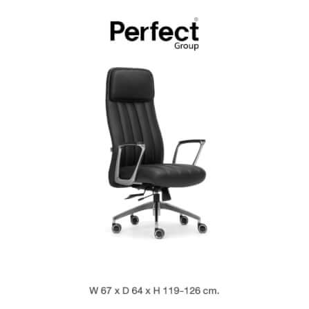 เก้าอี้ทำงานเพื่อสุขภาพ Perfect รุ่น DEPA สีดำ_0