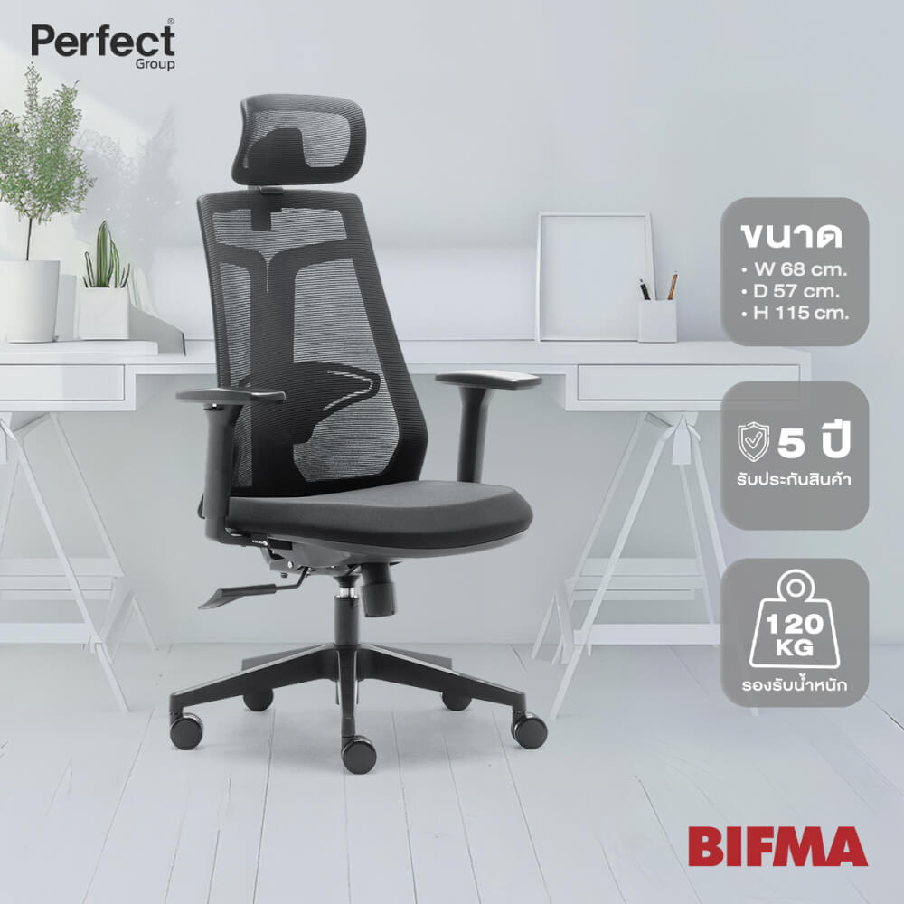 เก้าอี้เพื่อสุขภาพ Perfect รุ่น 6230A สีดำ