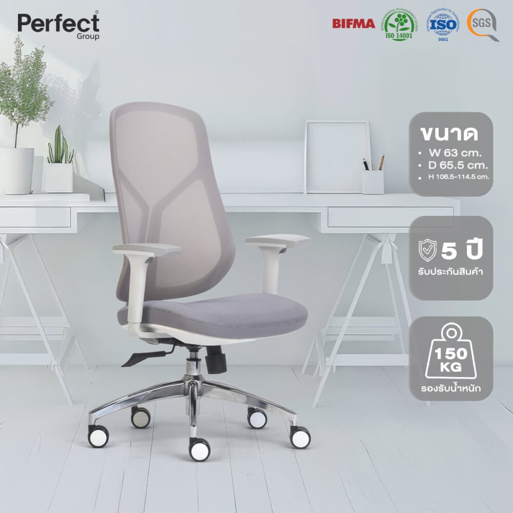 เก้าอี้ทำงานเพื่อสุขภาพ Perfect SWAN SERIES รุ่น 503BG สีเทา