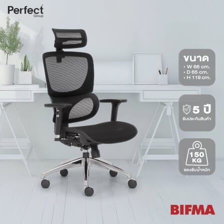 เก้าอี้ทำงานเพื่อสุขภาพ Perfect รุ่น 101DF สีดำ_6