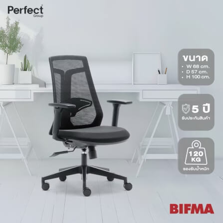 เก้าอี้เพื่อสุขภาพ Perfect รุ่น 6230B สีดำ_7