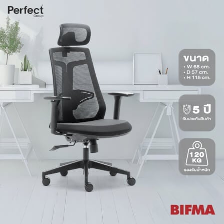 เก้าอี้เพื่อสุขภาพ Perfect รุ่น 6230A สีดำ_8