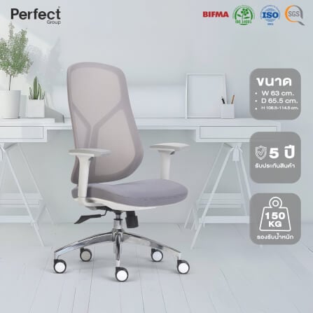 เก้าอี้ทำงานเพื่อสุขภาพ Perfect SWAN SERIES รุ่น 503BG สีเทา_8