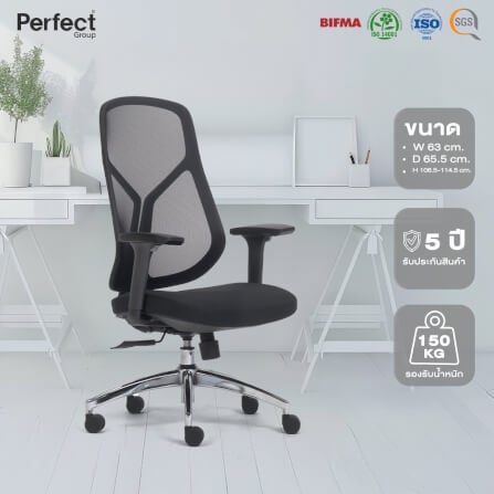 เก้าอี้ทำงานเพื่อสุขภาพ Perfect SWAN SERIES รุ่น 503BB สีดำ_8