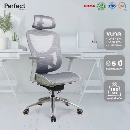 เก้าอี้เกมมิ่ง Perfect รุ่น GRAMMY SERIES สีขาว_8