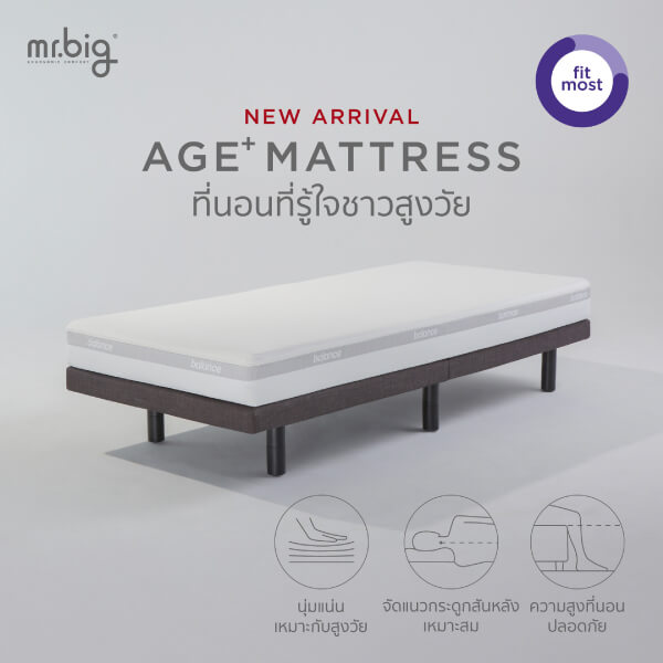 ที่นอน 6 ฟุต MR.BIG AGE+ MATTRESS 9