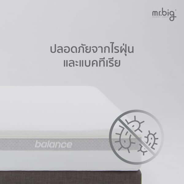 ที่นอน 6 ฟุต MR.BIG AGE+ MATTRESS 9