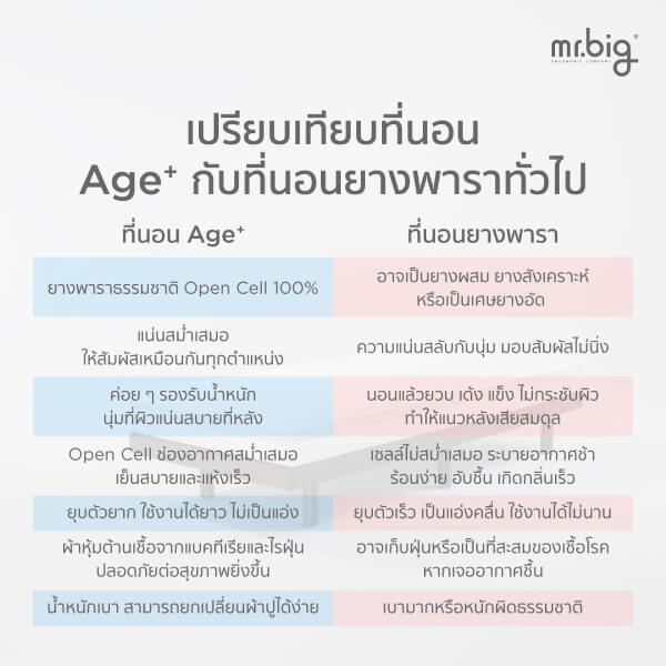 ที่นอน 6 ฟุต MR.BIG AGE+ MATTRESS 9