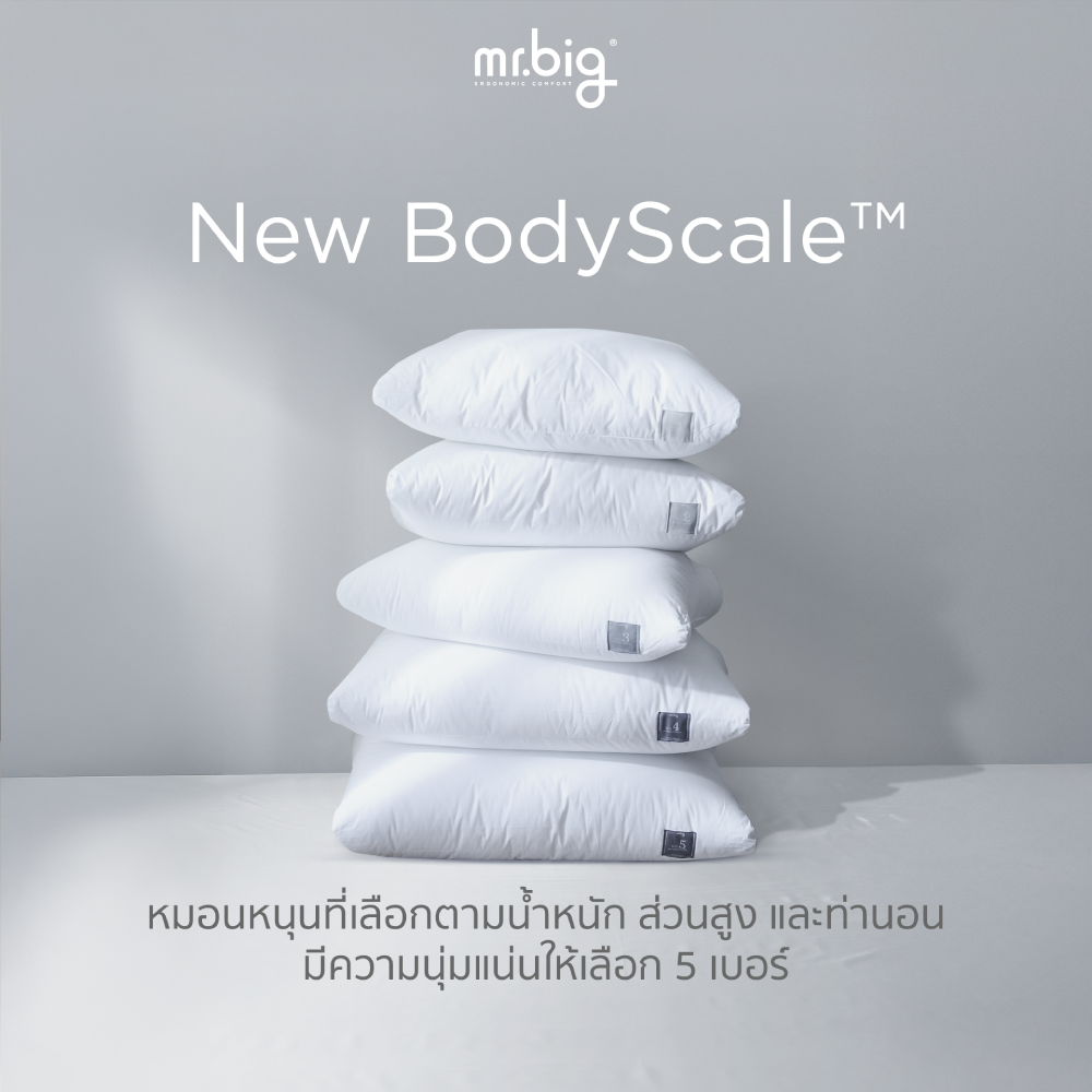 หมอนหนุน mr.big รุ่น New BodyScale Pillow No.3 สีขาว_2