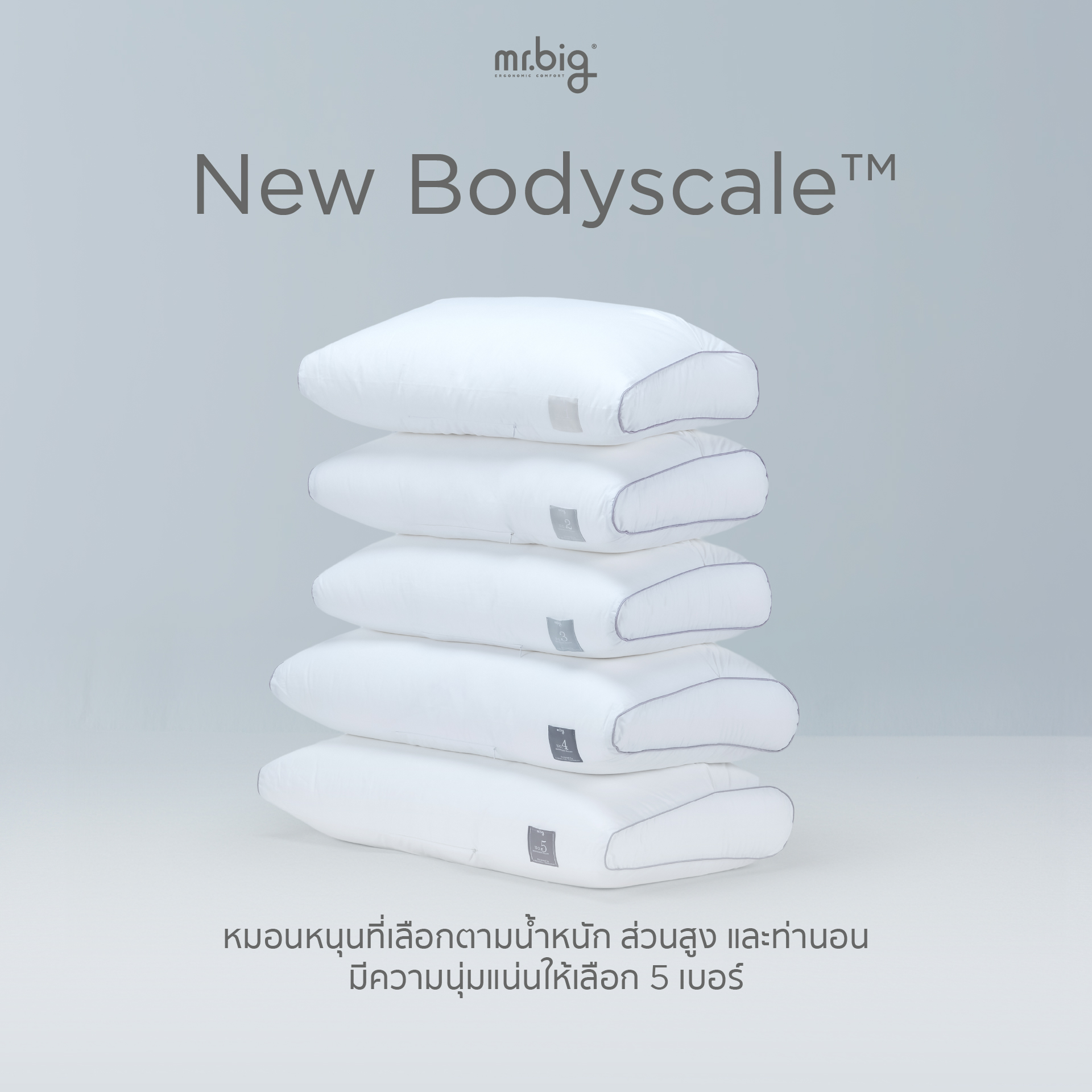หมอนหนุน ERGONOMIC MR.BIG รุ่น NEW BODYSCALE PILLOW NO.2 สีขาว_2