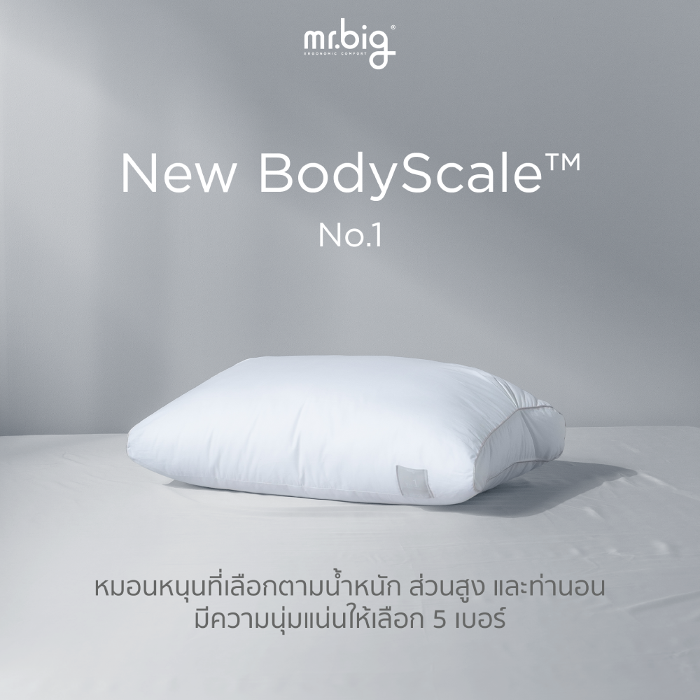 หมอนหนุน mr.big รุ่น New BodyScale Pillow No.1 สีขาว_3