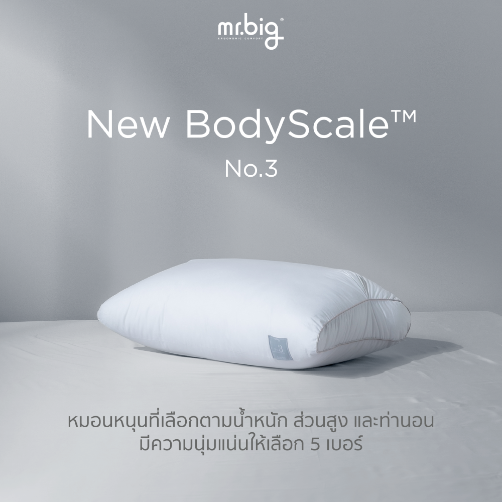 หมอนหนุน mr.big รุ่น New BodyScale Pillow No.3 สีขาว_3