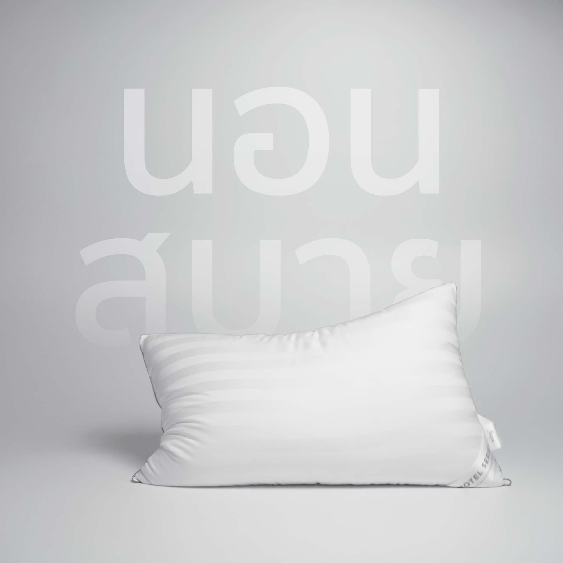 หมอนหนุน MR.BIG HOTEL SERIES TRADITION 19X29 IN 1000G แพ็คเดี่ยว 1 ใบ สีขาว_3