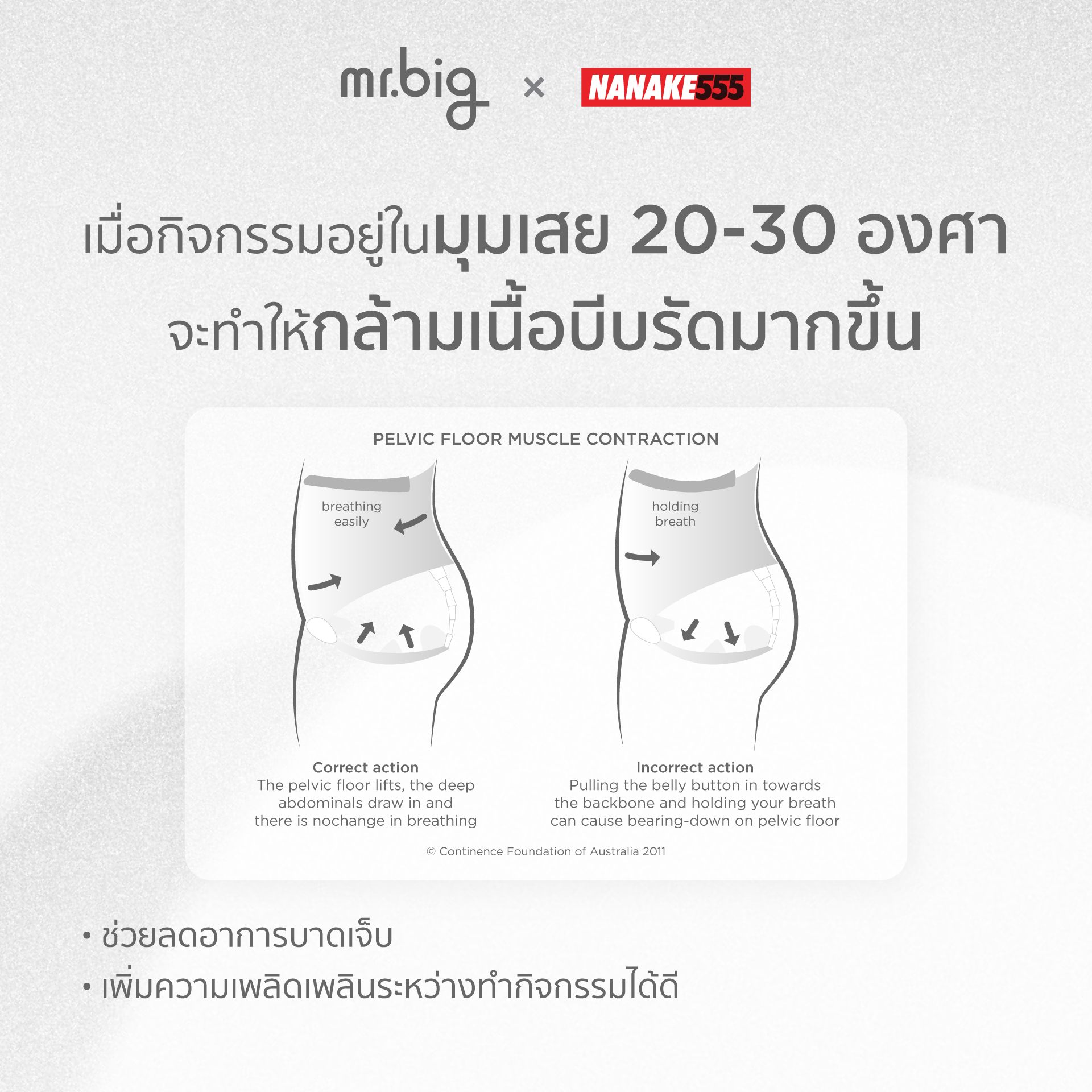หมอนเสย™ จาก MR.BIG X NANAKE555 รุ่น FIRM สีเทา_4