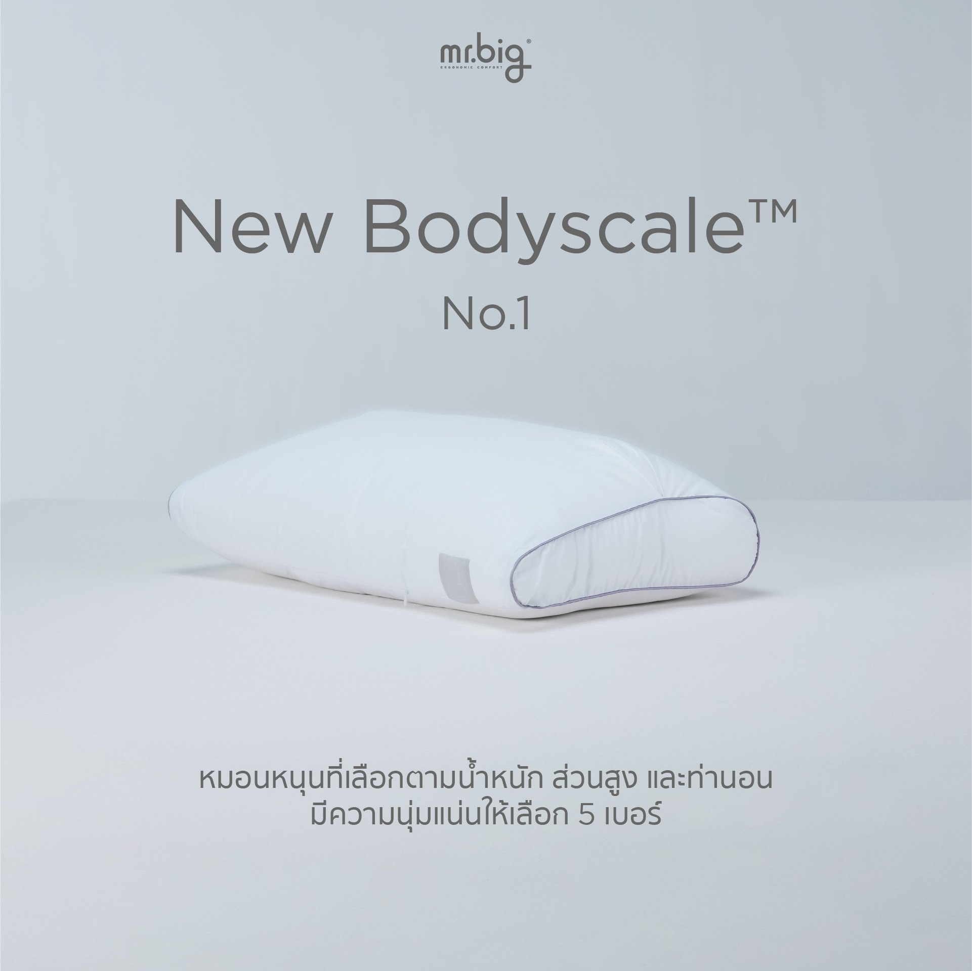 หมอนหนุน ERGONOMIC MR.BIG รุ่น NEW BODYSCALE PILLOW NO.2 สีขาว_4