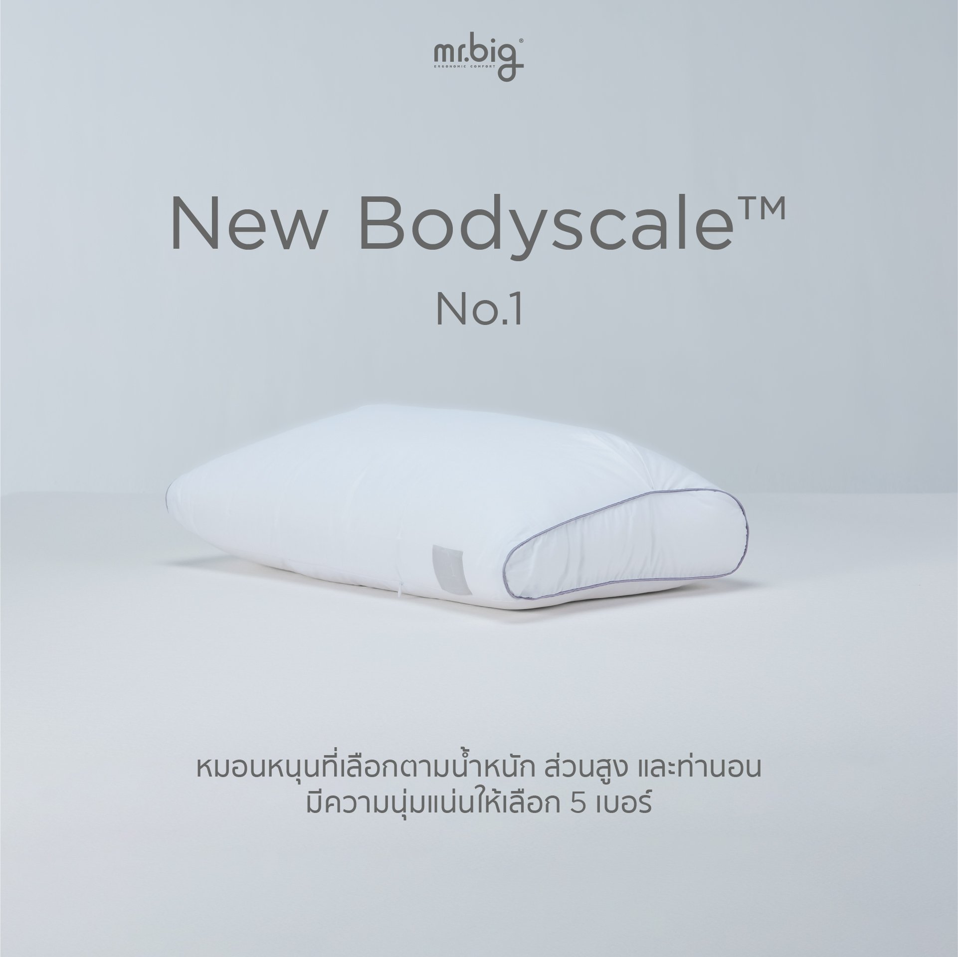 หมอนหนุน ERGONOMIC MR.BIG รุ่น NEW BODYSCALE PILLOW NO.1 สีขาว_4