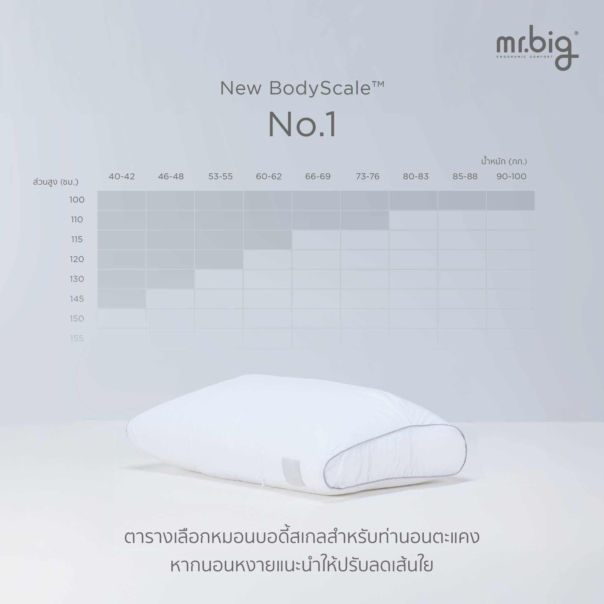 หมอนหนุน ERGONOMIC MR.BIG รุ่น NEW BODYSCALE PILLOW NO.2 สีขาว_4