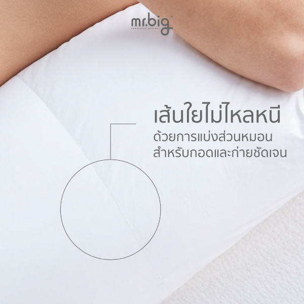หมอนบอดี้ mr.big หมอนกอด Ergonomic 20x60 นิ้ว สีขาว_5